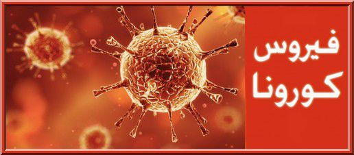 Conseil au sujet du coronavirus (2019-nCoV)