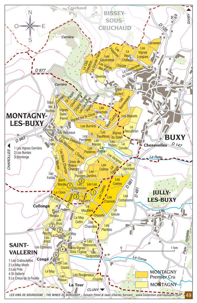Le  vignoble de Montagny en Côte Chalonnaise