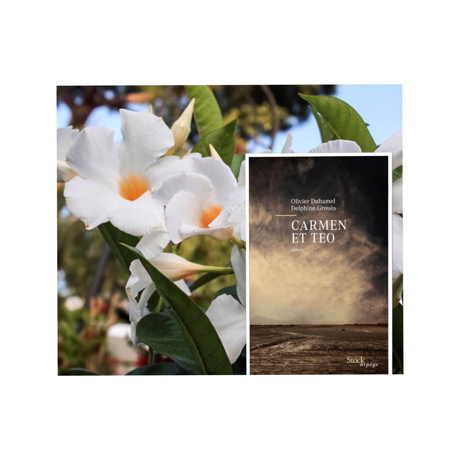 La première de couverture du roman "Carmen et Teo" de Delphine GROUES et Olivier DUHAMEL. En arrière plan, un petit clin d'oeil, fleuri, avec un Mandevilla laxa, communément appelé Jasmin du Chili.
