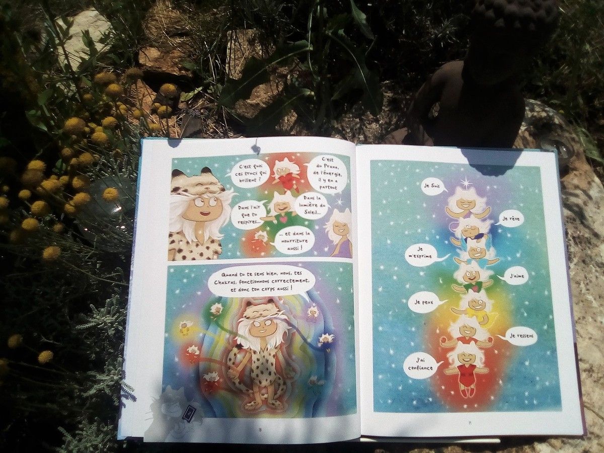 Les aventures du petit yogi