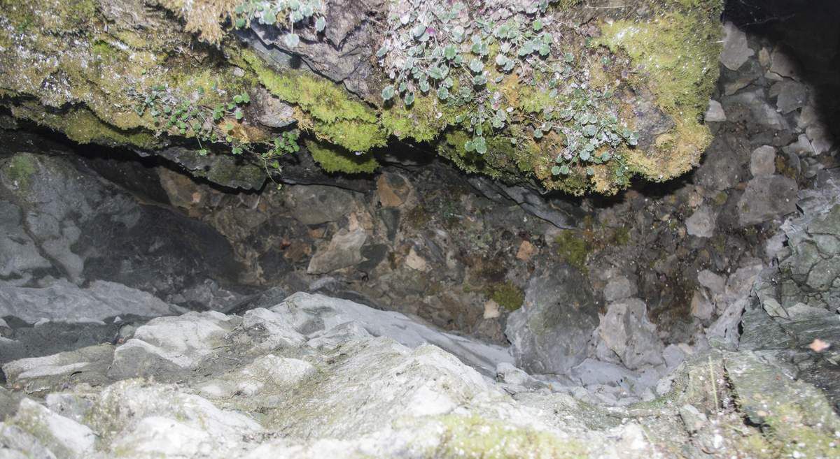 La grotte Z412 et le méandre au bas du petit ressaut