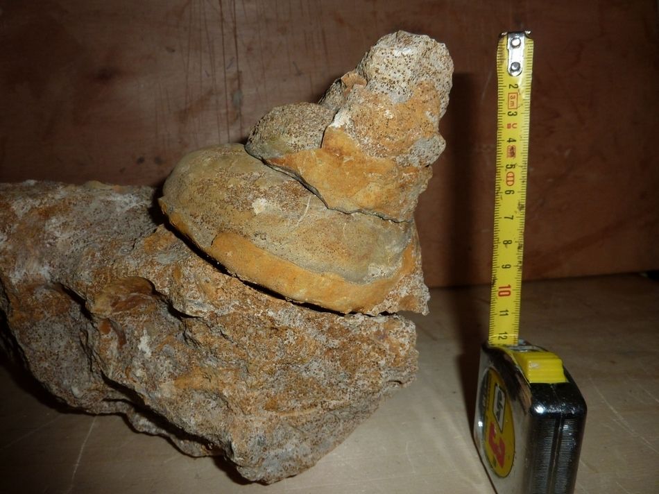 un album avec les différentes phases de dégagement et reconstructions.