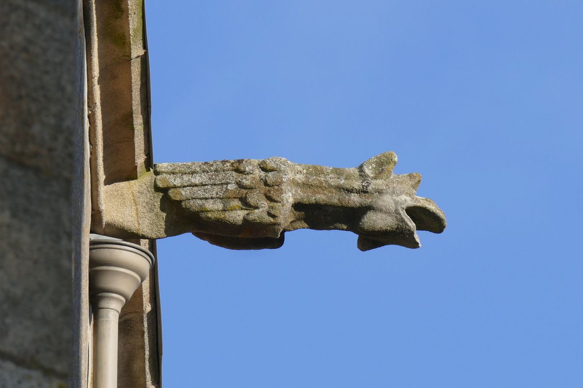 Gargouille de l'église Saint-Houardon, photographie lavieb-aile.
