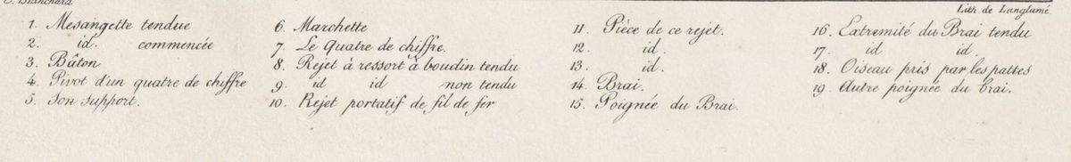 "Brai", Planche 44 fig. 14,  Baudrillart, Atlas du Dictionnaire de la chasse. http://gallica.bnf.fr/ark:/12148/bpt6k6572082t/f107.item