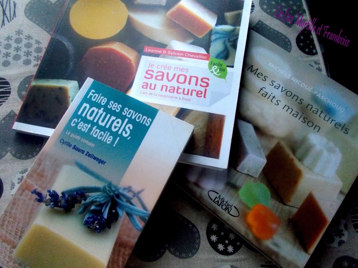 Mes livres de savonnerie - Les fées Myrtille et Framboise