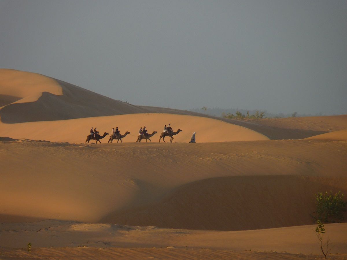 Sénégal (suite) promenade et  nuit  dans  le  désert !