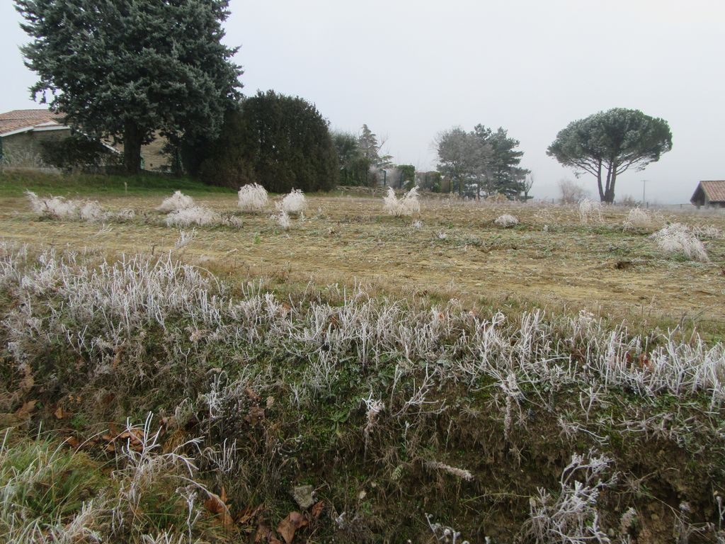 Mais non, ils n'ont pas froid, ils veulent juste qu'on ne les reconnaissent pas ;-) 