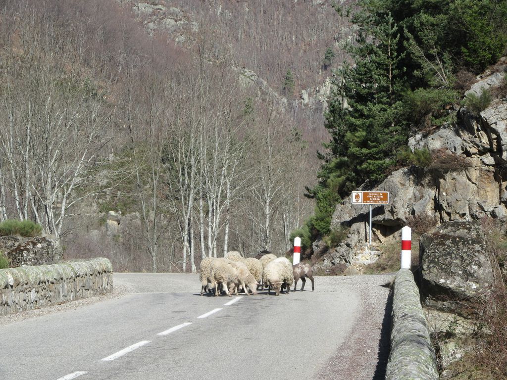 Allez, poussez-vous ... je ne suis pas d'ici :-) 
