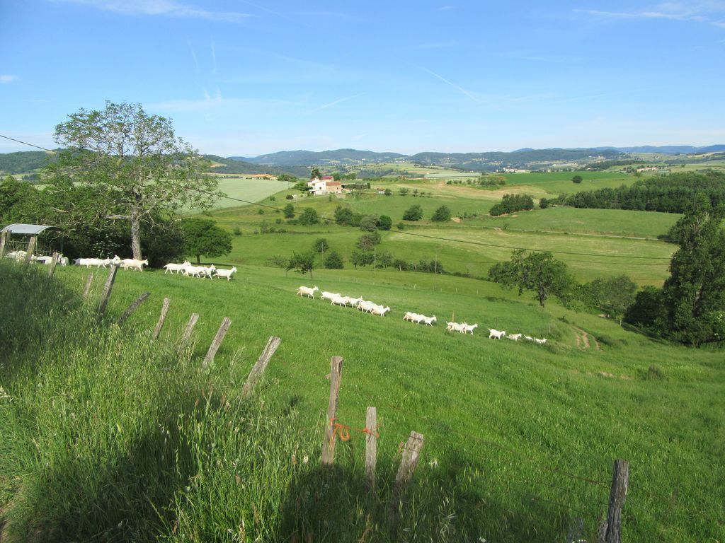 Arrêt biquettes