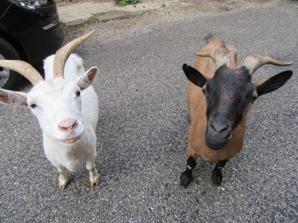 Les petits bonheurs de la vallée de la Cance 
