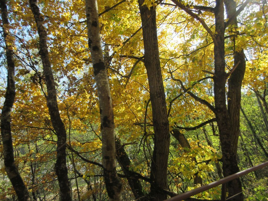 VTT &quot;dolce&quot; 