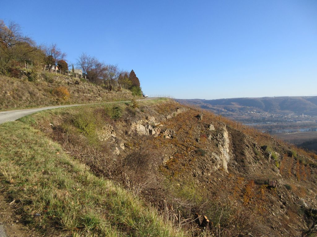 De Vion à Lemps 