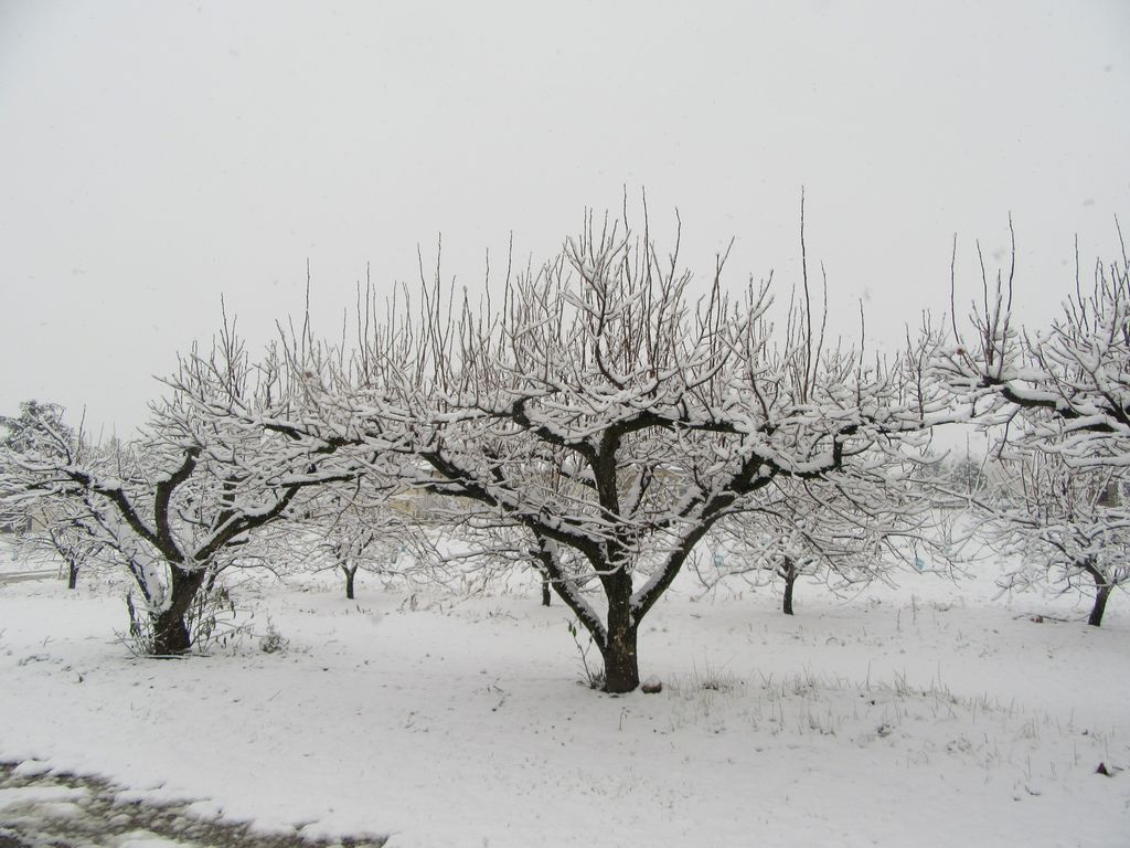 Bourg les Valence, le 1 er décembre 