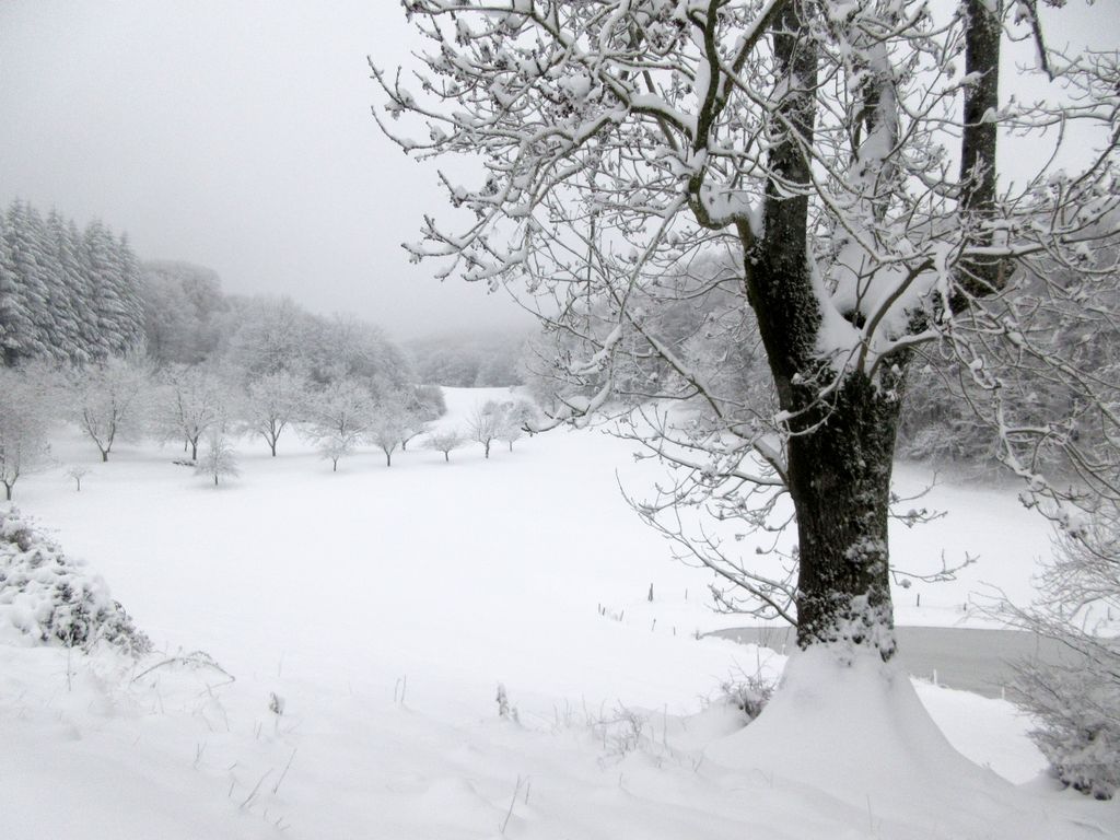 Un étonnant paysage en noir et blanc ...