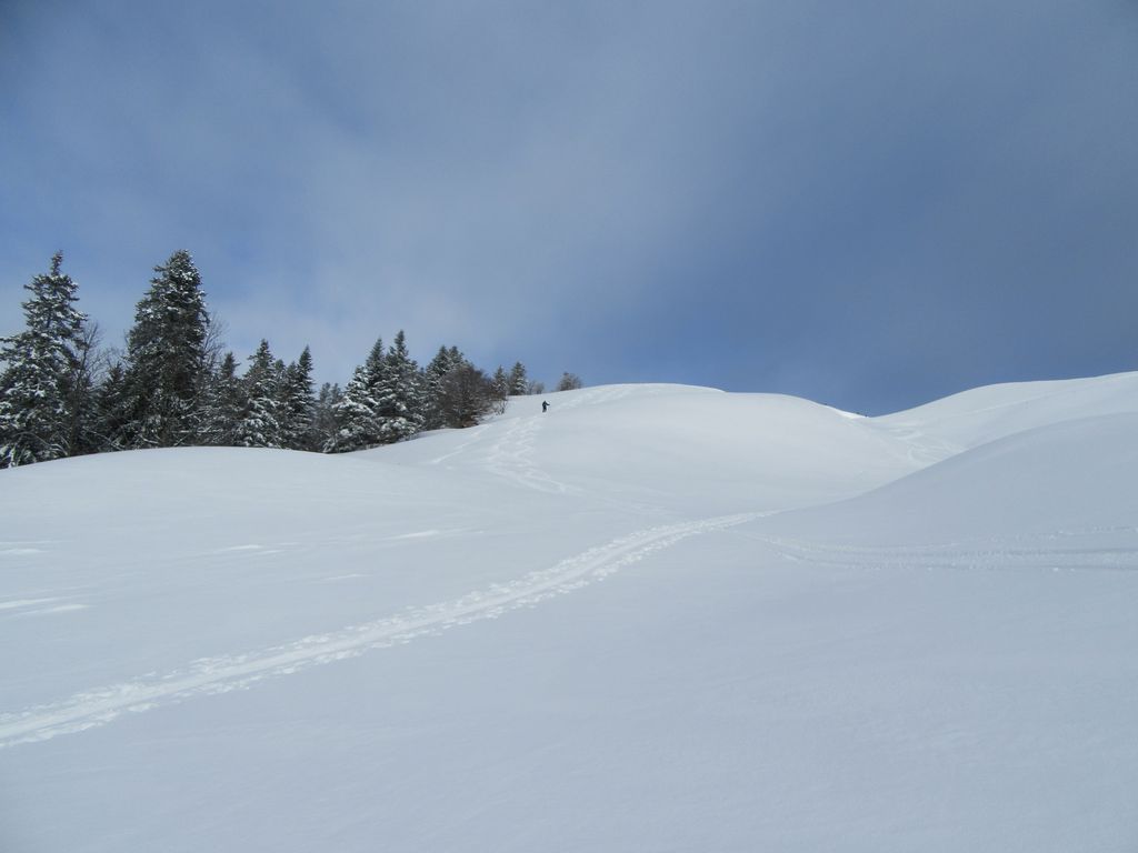 A nous la belle neige ... 