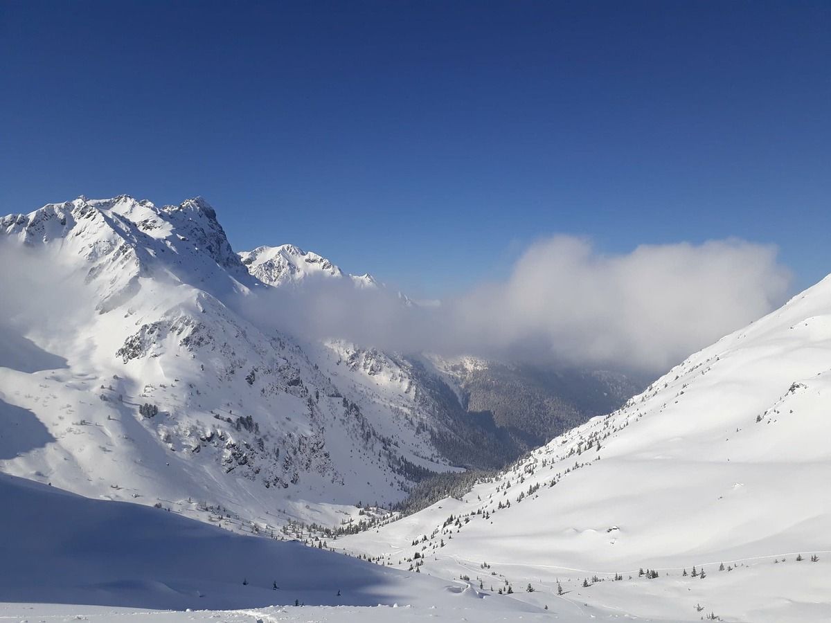 Tous les voyants sont au vert ! non, au blanc bleu ! 