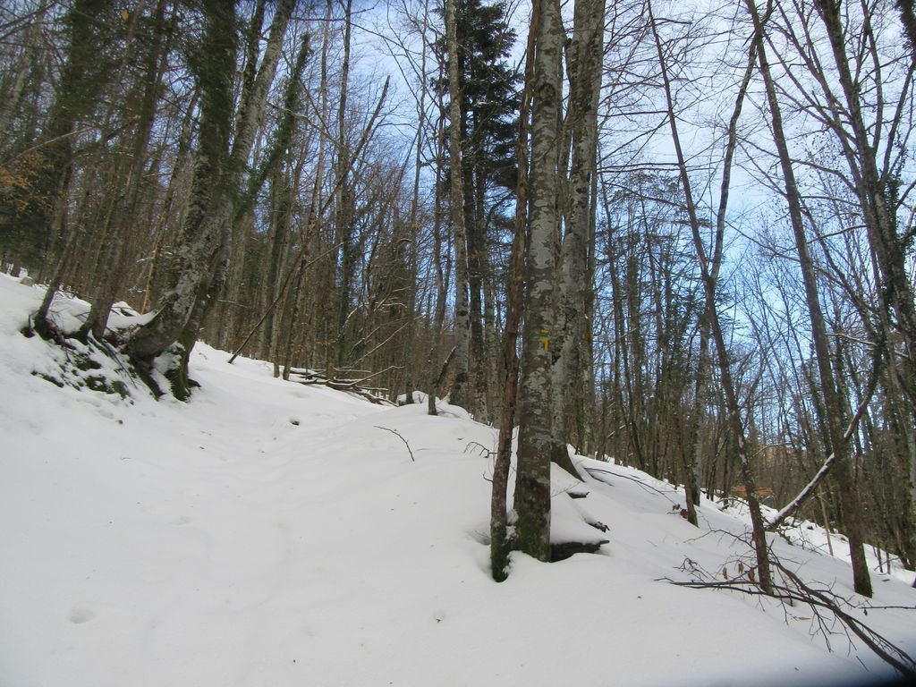 L'enneigement augment assez vite avec l'altitude ... 