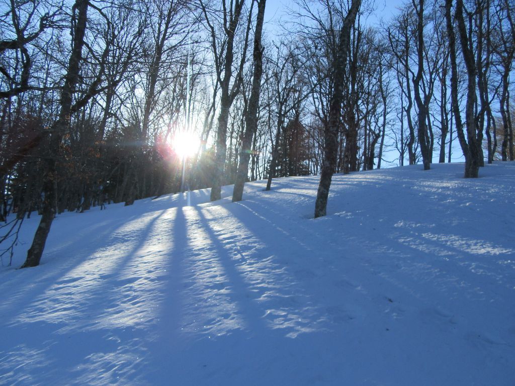 A la rencontre du soleil 