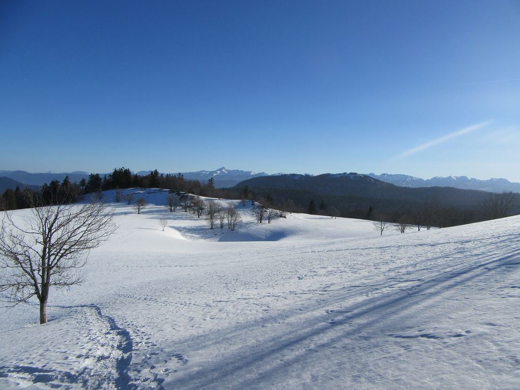 La clairière et le sommet