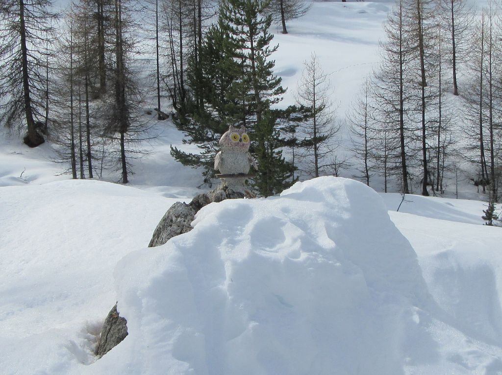 Vallée du Cristillan 