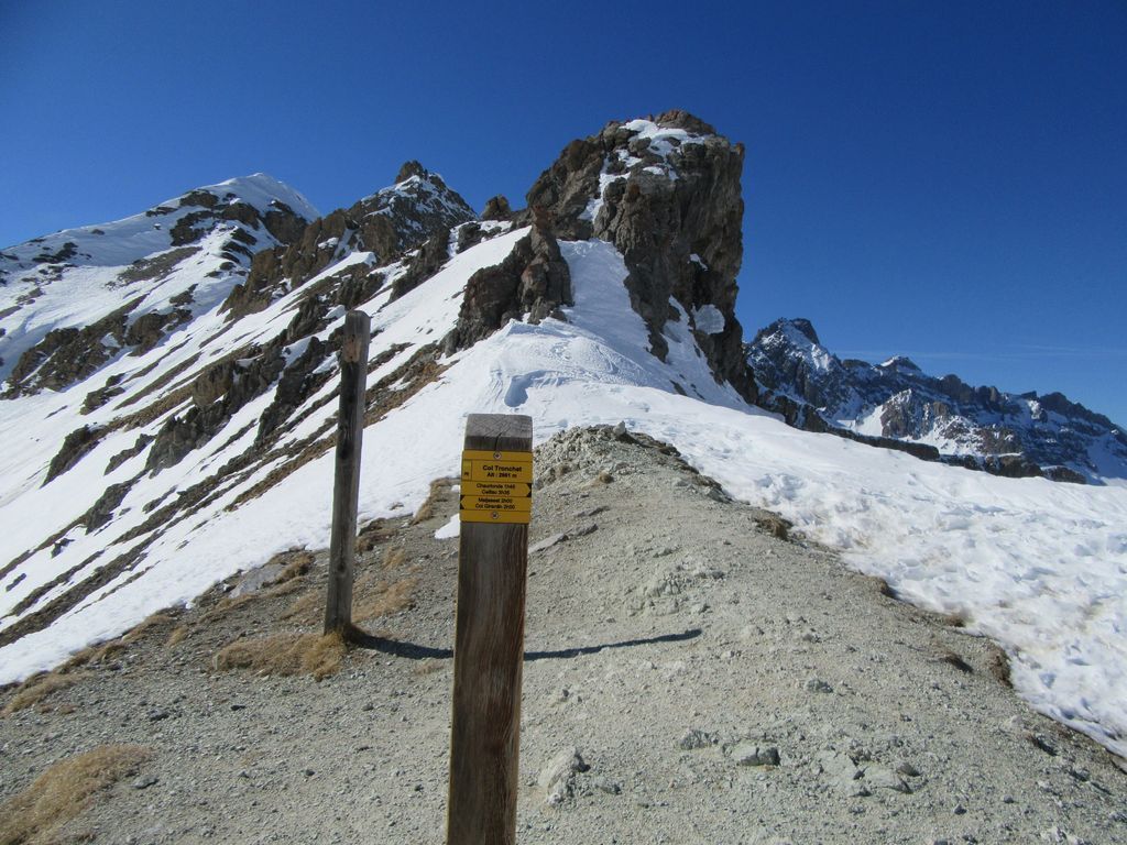 Col Tronchet ... vue sur les Ecrins 