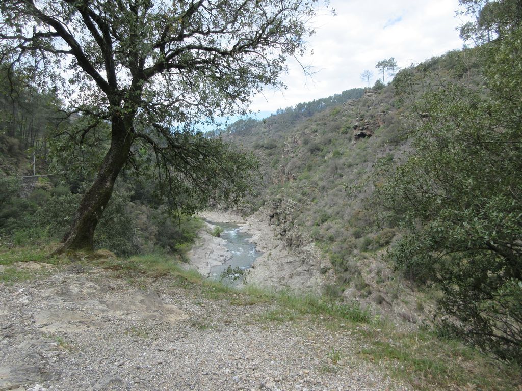 Le long du Luech 