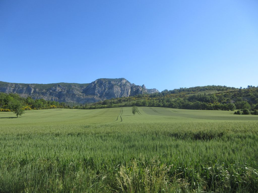 De retour sur mes terres 