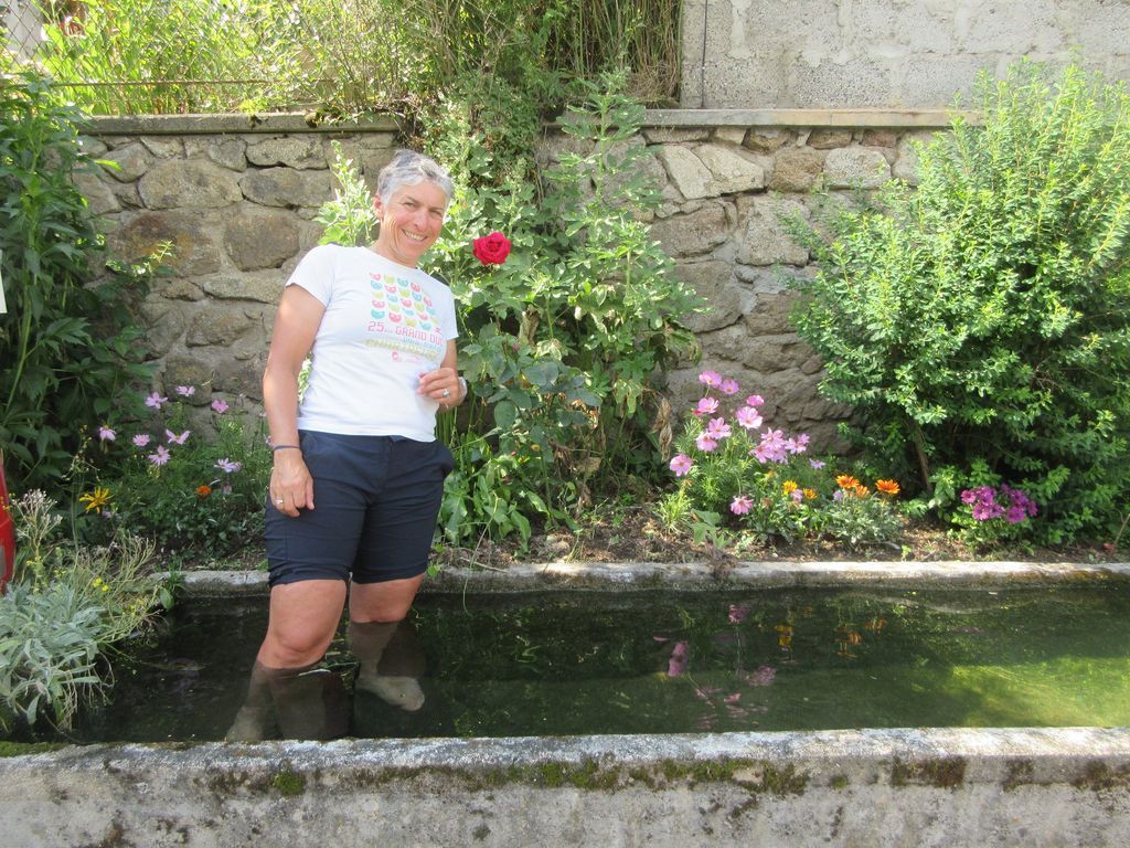 Les Copains : au pays des Fourmes 