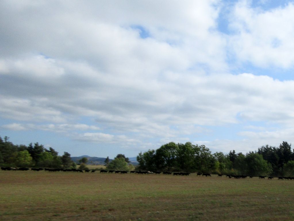 Après le Monastier sur Gazeille, le temps se couvre et un bon vent de sud se lève ! En plein dans le nez :-)