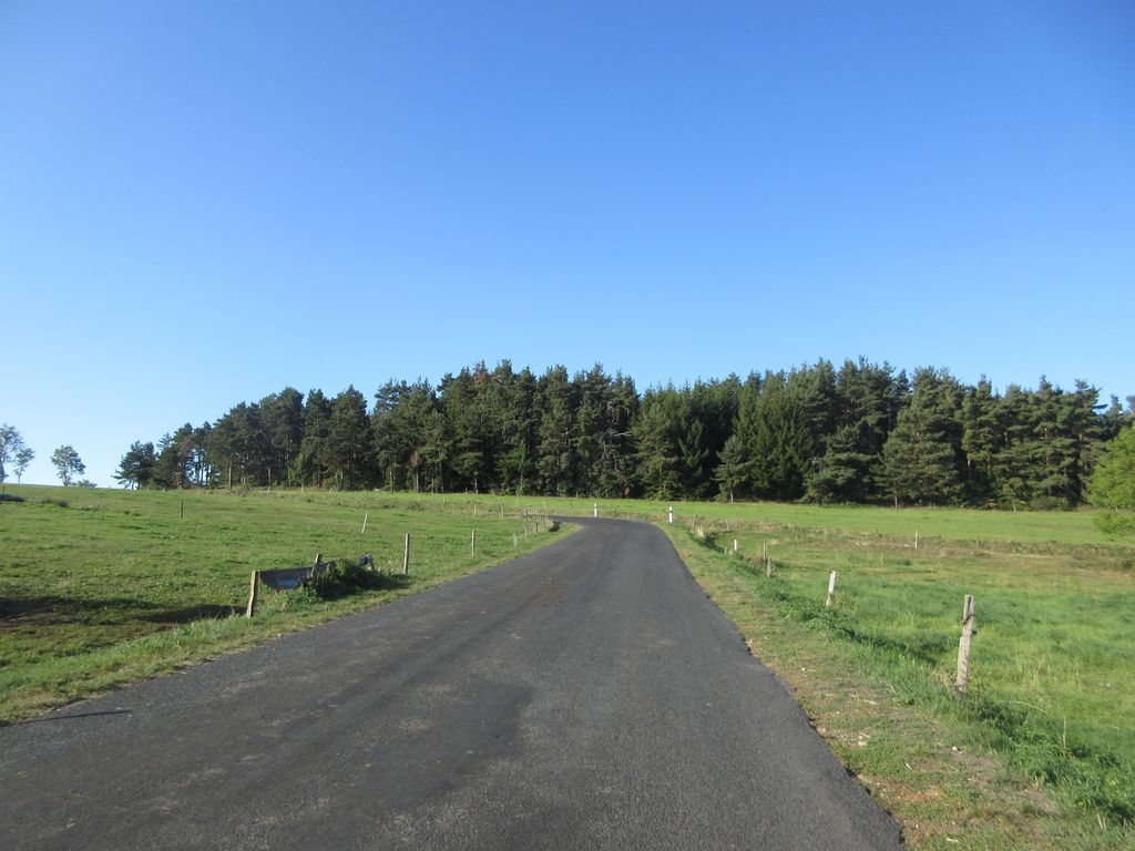 C'est parti, on traverse la Gagne et une belle montée ne tarde pas à nous réchauffer ! 