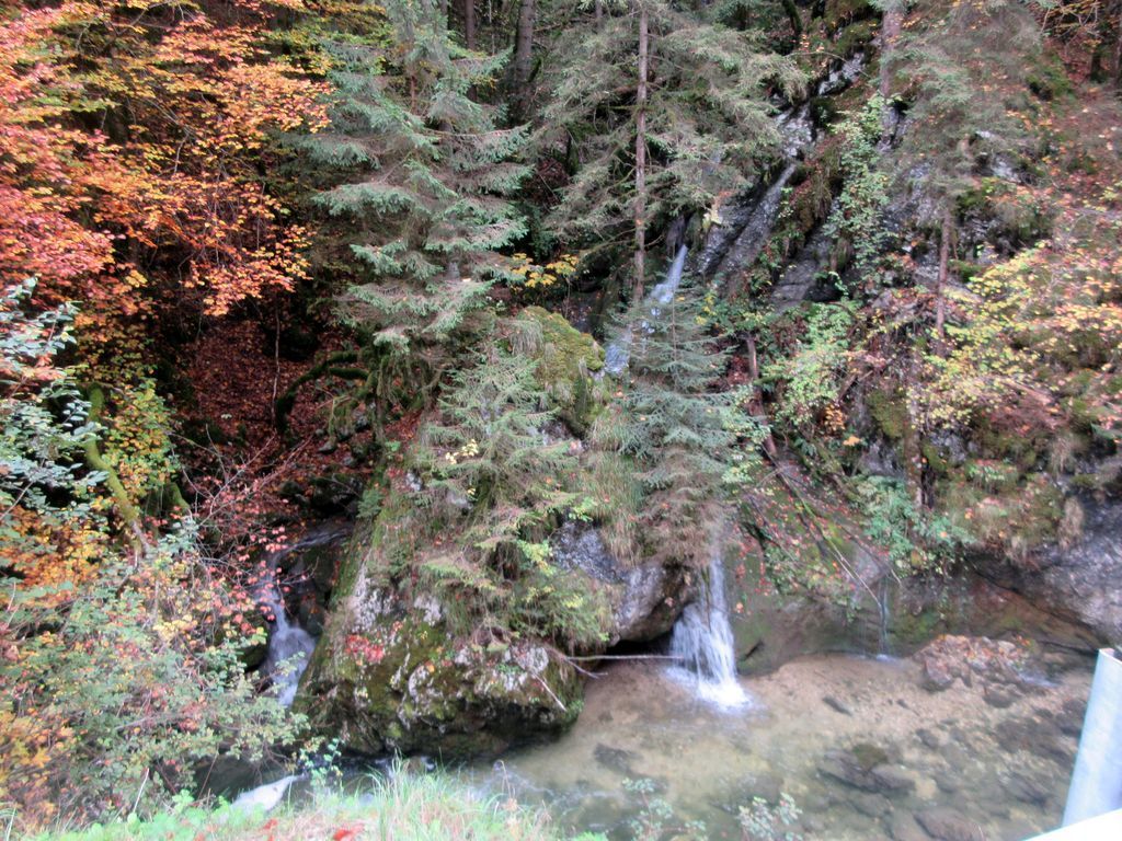 Souvenirs d'une baignade dans le Couzon fin octobre avec ma première combi de canyoning . L'encaissement est splendide. 
