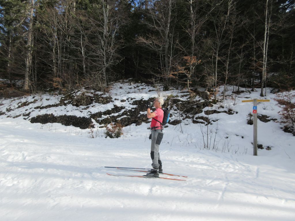 Le WE suivante, grande douceur et neige misérable à Herbouilly .