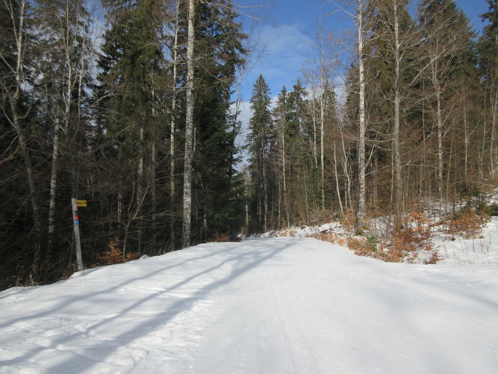 Le WE suivante, grande douceur et neige misérable à Herbouilly .