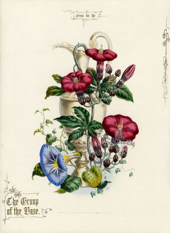 gifs fleurs