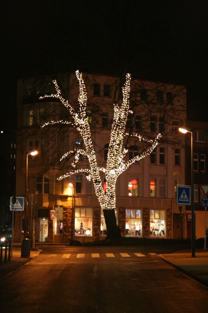 Der größte Weihnachtsbaum der Welt