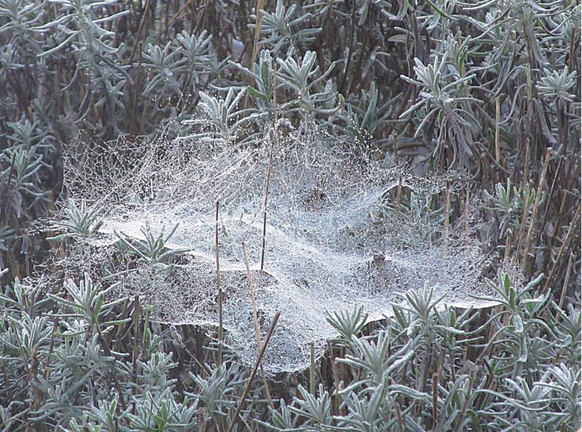 Verirrungen im Netzwerk?