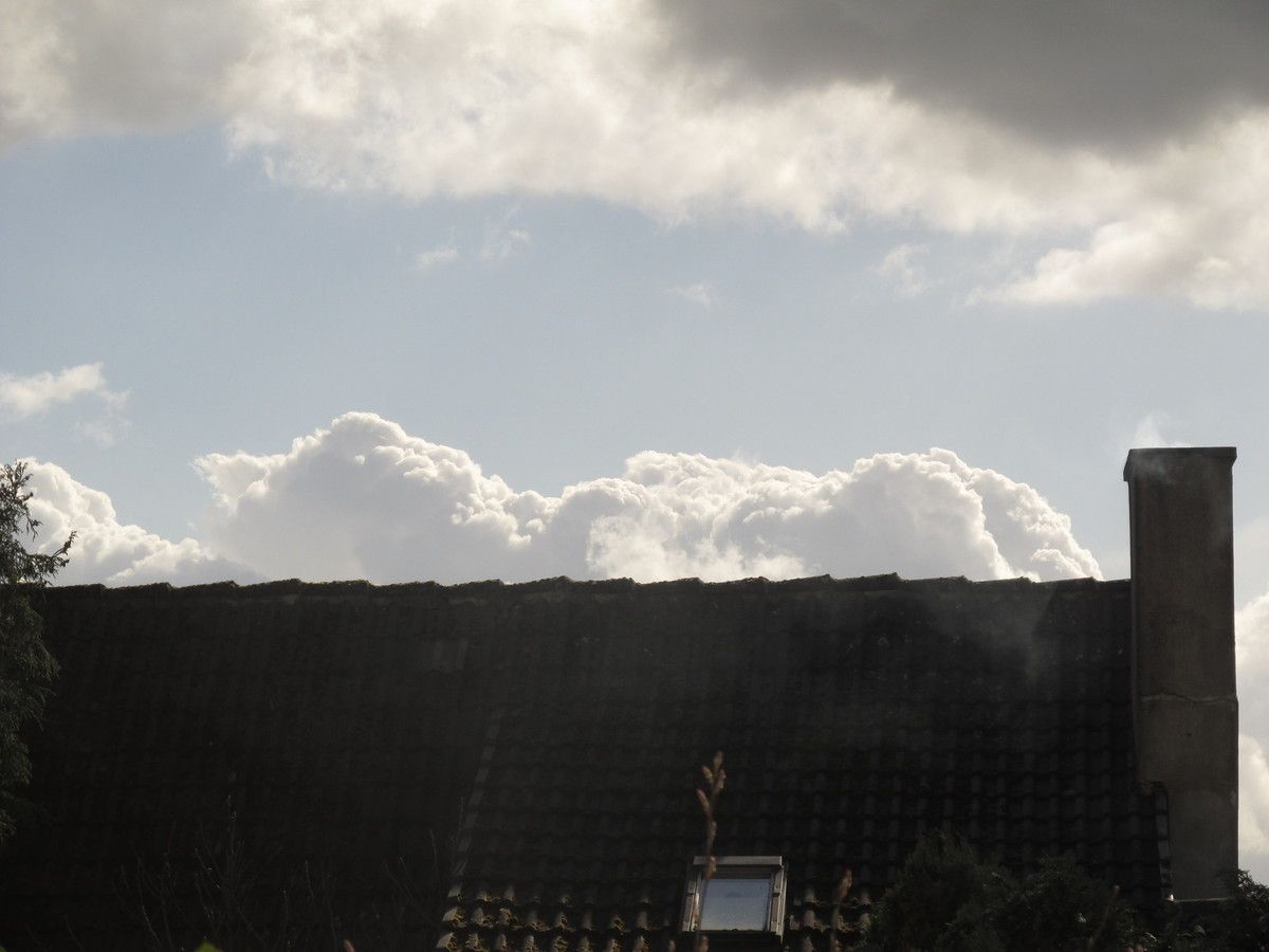 Es liegt was auf dem Dach