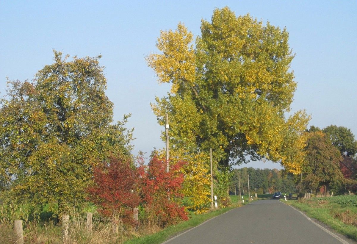 leere Straßen in herbstlicher Landschaft