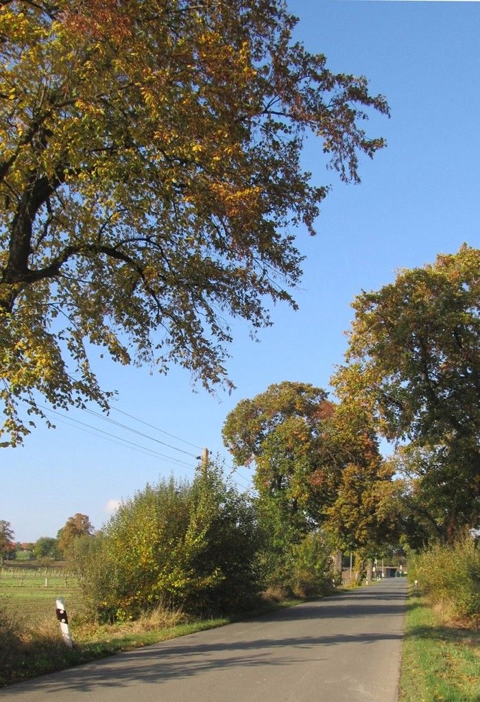 leere Straßen in herbstlicher Landschaft
