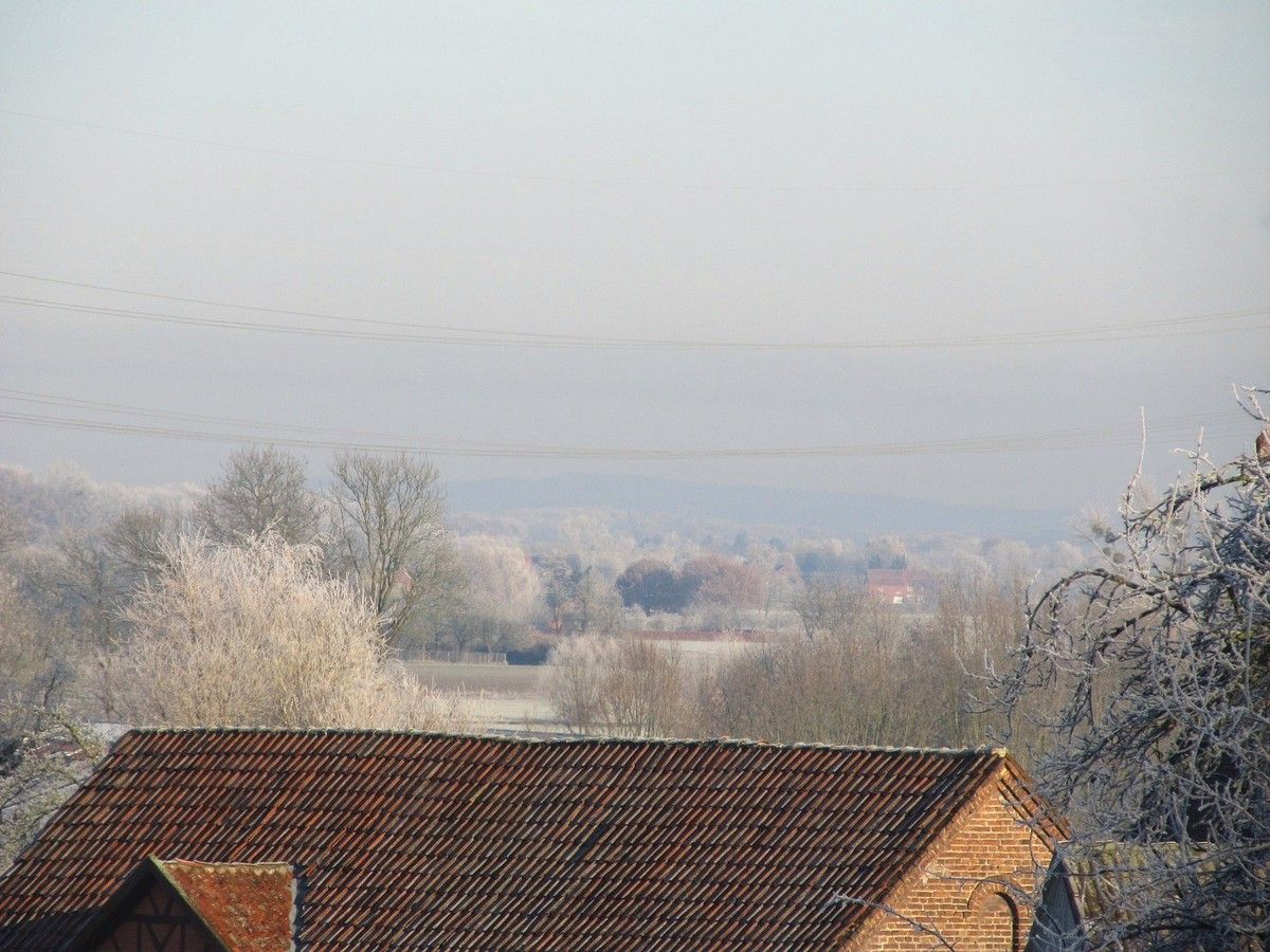 Natürlicher Modetrend