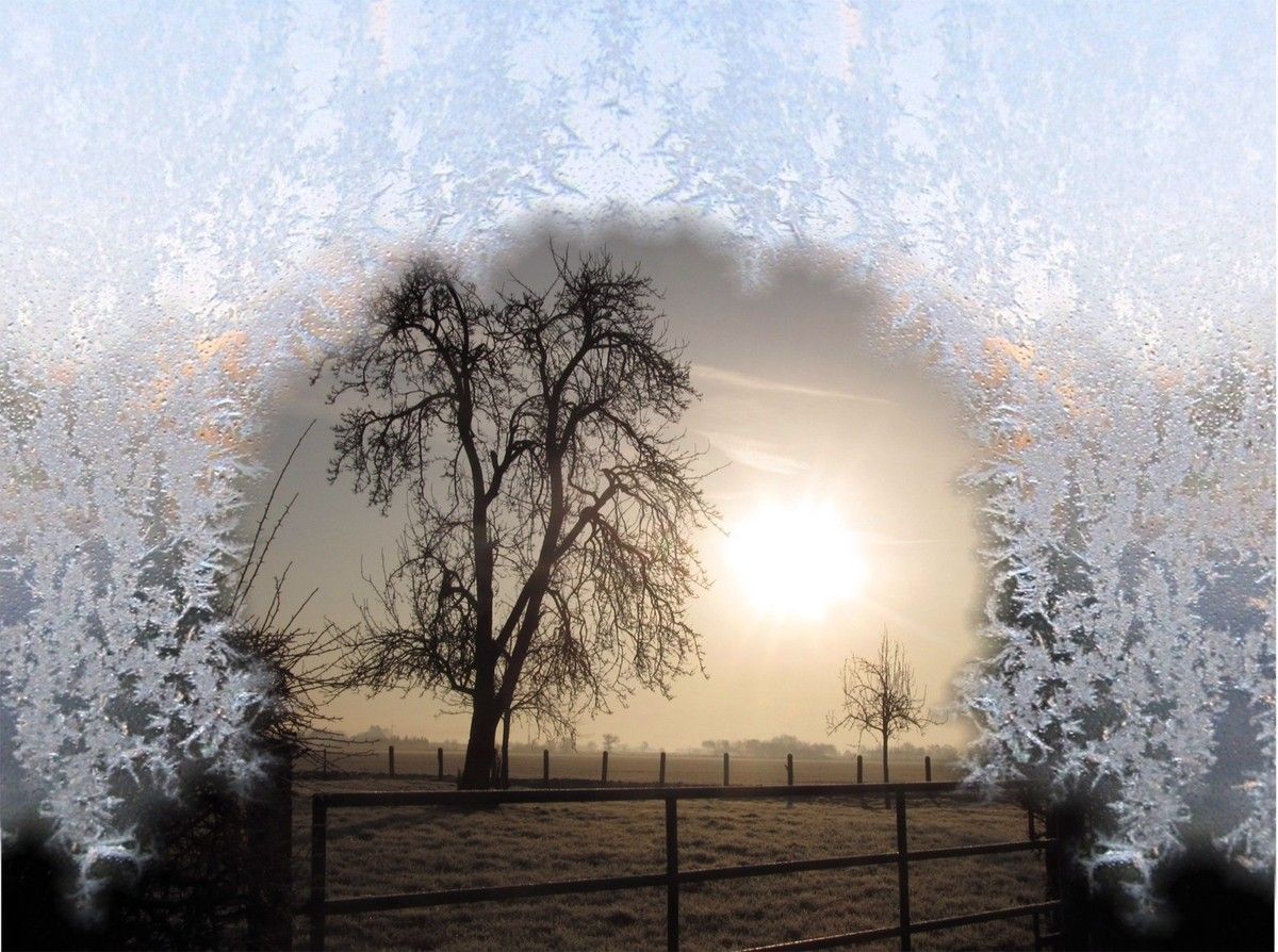 blasse Sonne am Winterhimmel umrahmt von Eisblumen