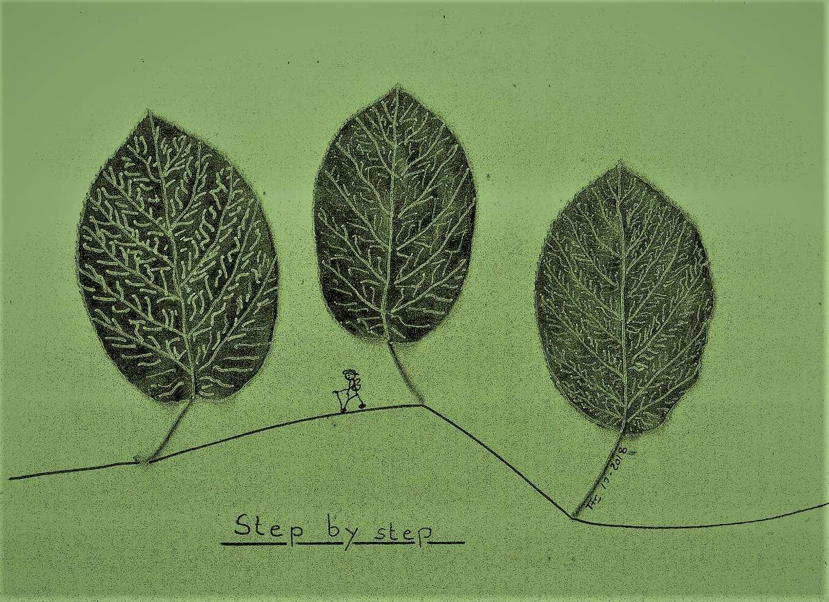 Wir gehen unseren Weg über Höhen und durch Tiefen step by step.