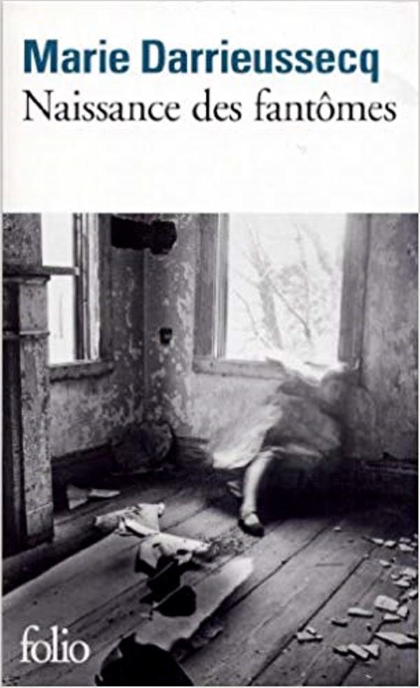 Livre : Naissance des Fantômes    -  Marie DARRIEUSSECQ