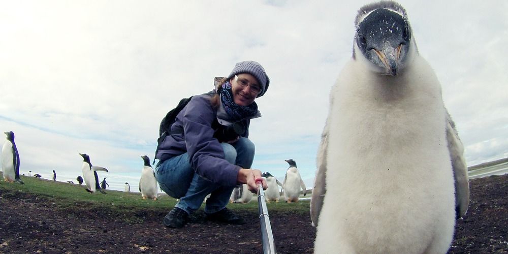LA MARCHE DU MONDE (657) : DU 17 AU 19 AVRIL 2015