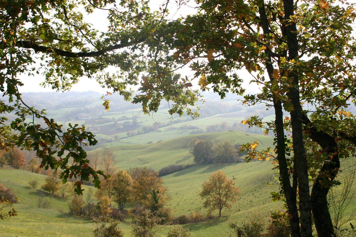 LE BLOG DE MONTESQUIEU-VOLVESTRE A 7 ANS AUJOURD'HUI