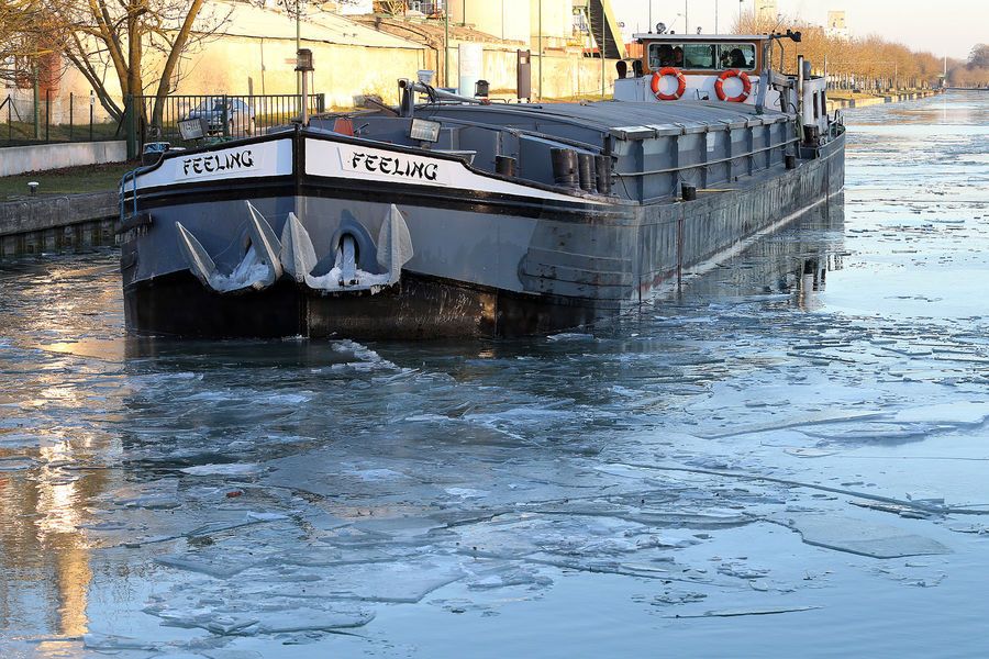 LA MARCHE DU MONDE (930) : 18 & 19 JANVIER 2017