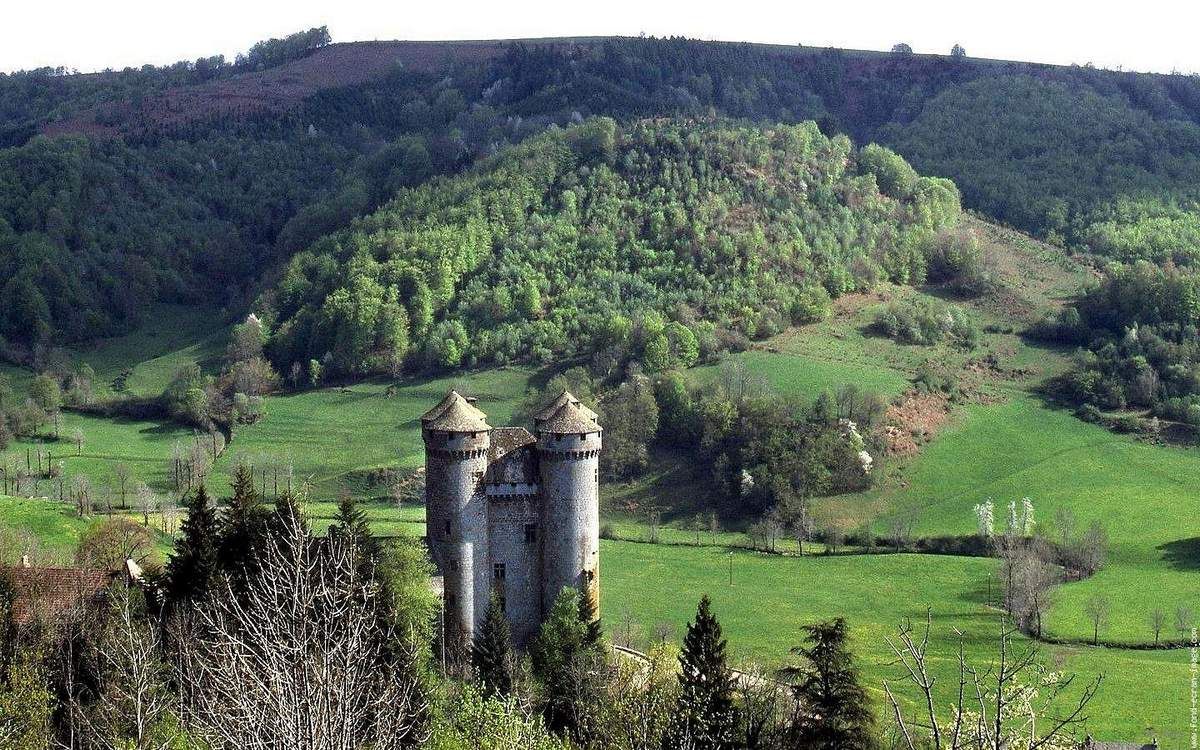 TRESORS DU PATRIMOINE FRANCAIS : TOURNEMIRE (CANTAL) - LE CHATEAU D'ANJONY