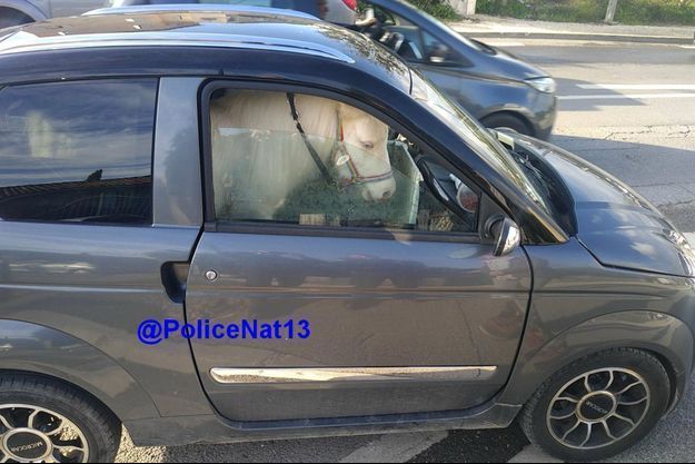 LA MARCHE DU MONDE (1322) : DU 22 AU 24 NOVEMBRE 2019