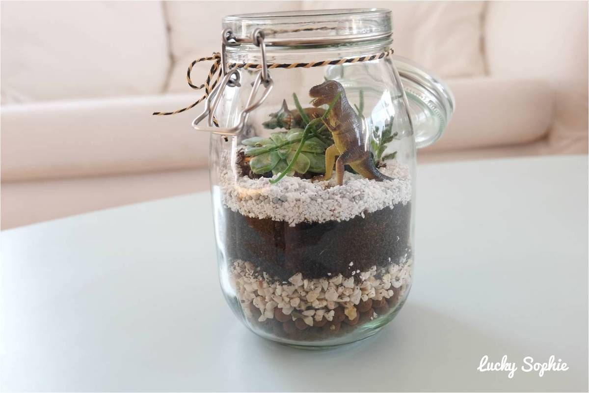 Dino terrarium, activité jardinage avec les enfants ! 🦖 - Lucky Sophie  blog famille voyage