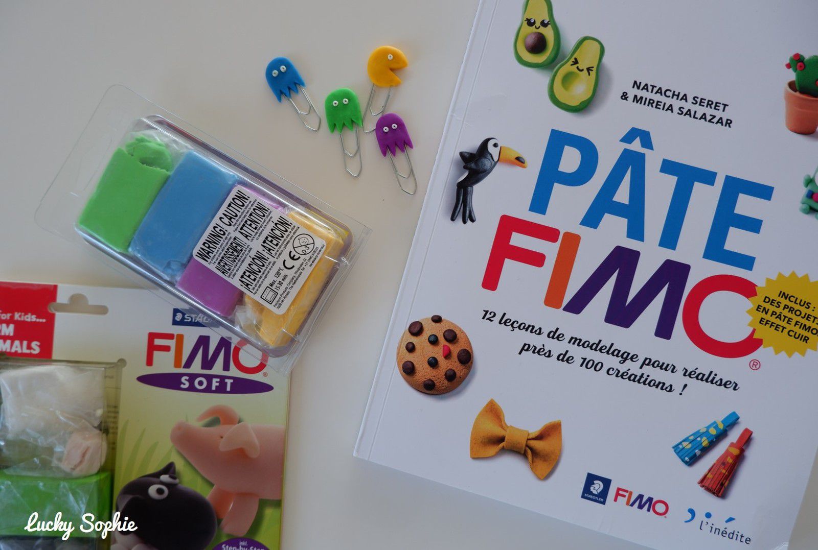 Pâte fimo: 12 leçons de modelage pour réaliser près de 100 créations !